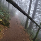 Illustration for article titled Rattlesnake Ledge - PNWs Most Misunderstood Hike